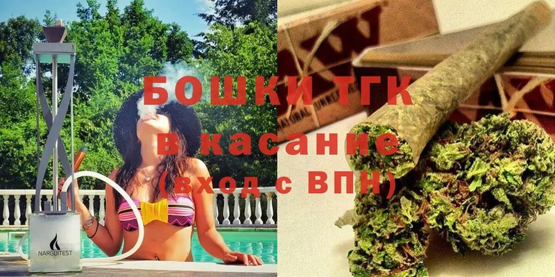 Бошки Шишки планчик  Будённовск 